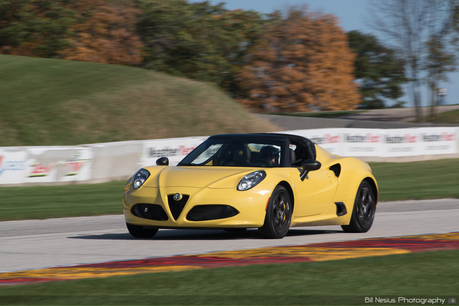 Alfa Romeo 4C Number 14
 ~ DSC_4070 ~ 4