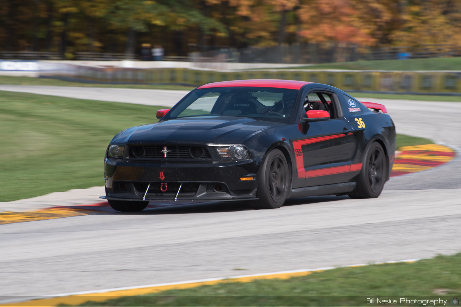 Ford Mustang Boss 302 Number 36 ~ DSC_4261 ~ 3