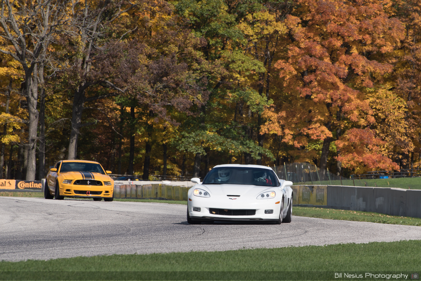 Chevy Corvette Number 22 (57) ~ DSC_4410 ~ 