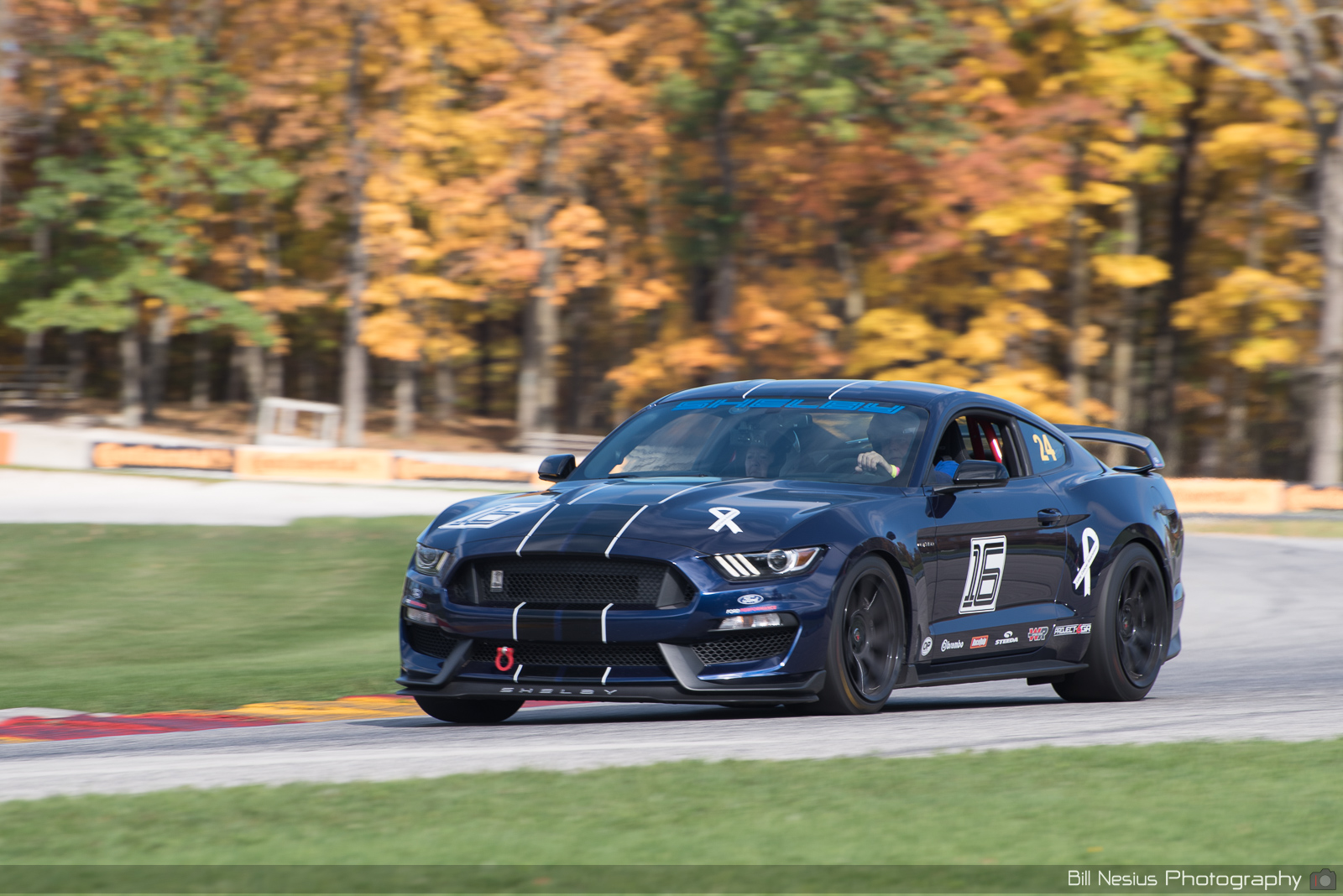Ford Mustang GT350 Number 24 (16) ~ DSC_4424 ~ 3