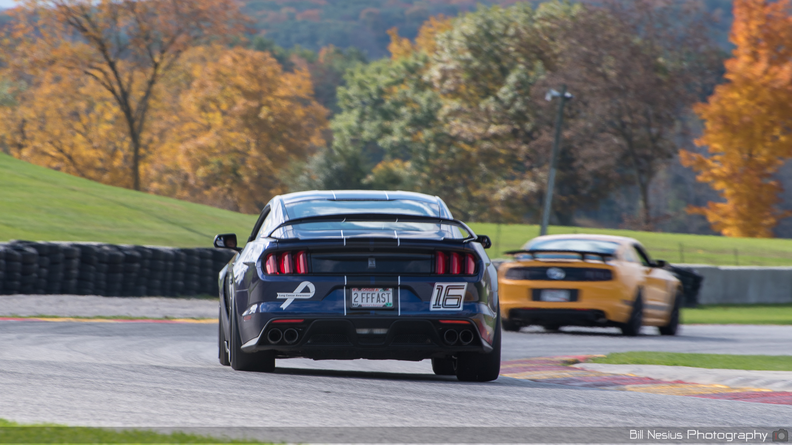 Ford Mustang GT350 Number 24 (16) ~ DSC_4466 ~ 2