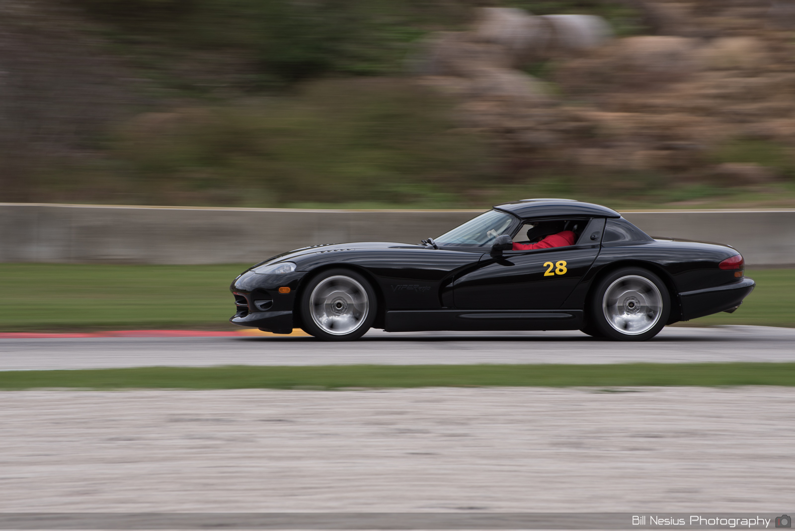 Dodge Viper Number 28 ~ DSC_5275 ~ 3