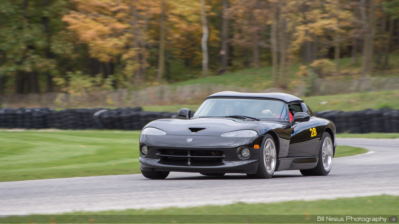 Dodge Viper Number 28 ~ DSC_5619 ~ 4