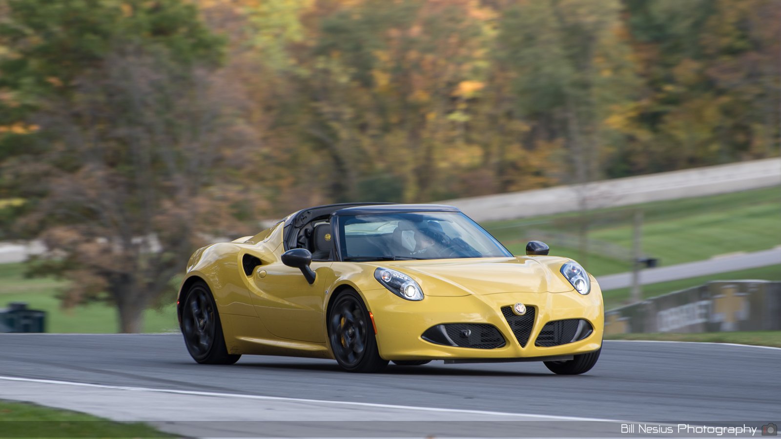 Alfa Romeo 4C Number 14
 ~ DSC_6369 ~ 3