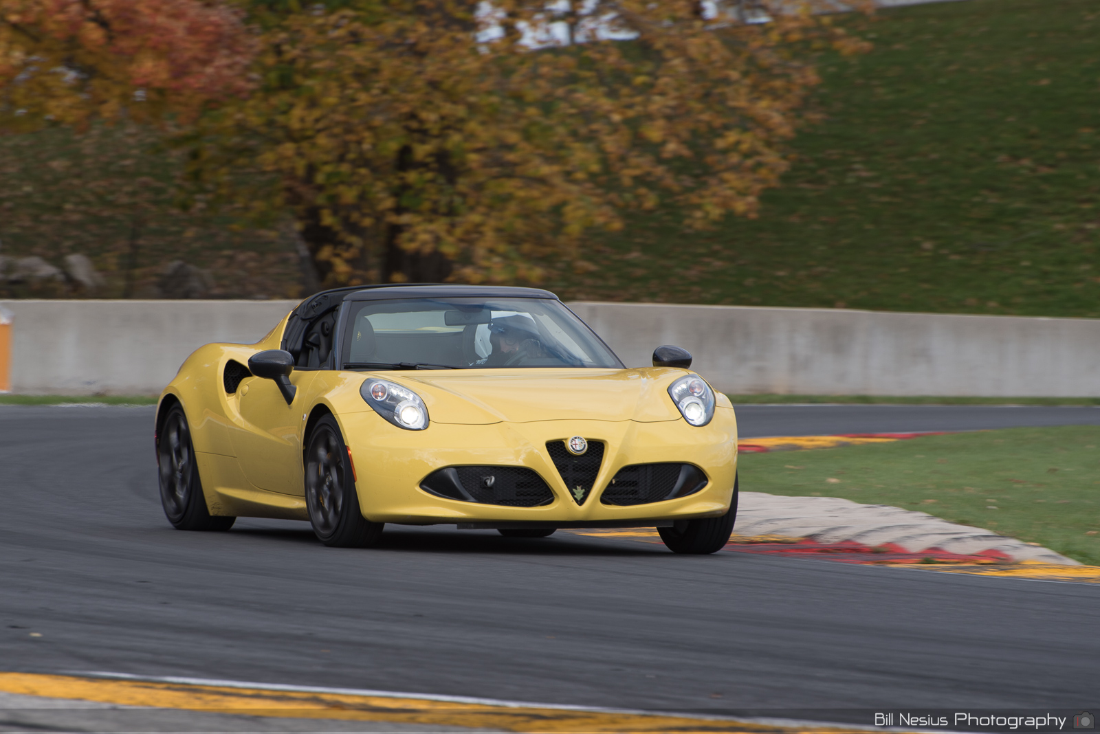 Alfa Romeo 4C Number 14
 ~ DSC_6587 ~ 3