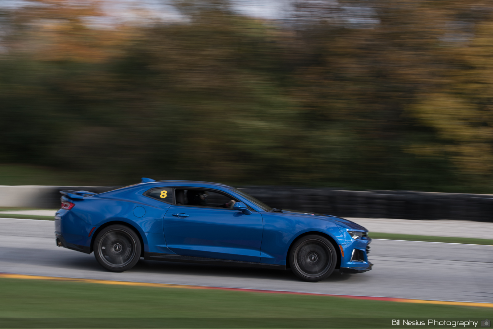 Chevy Camaro ZL1 Number 8 ~ DSC_6777 ~ 3