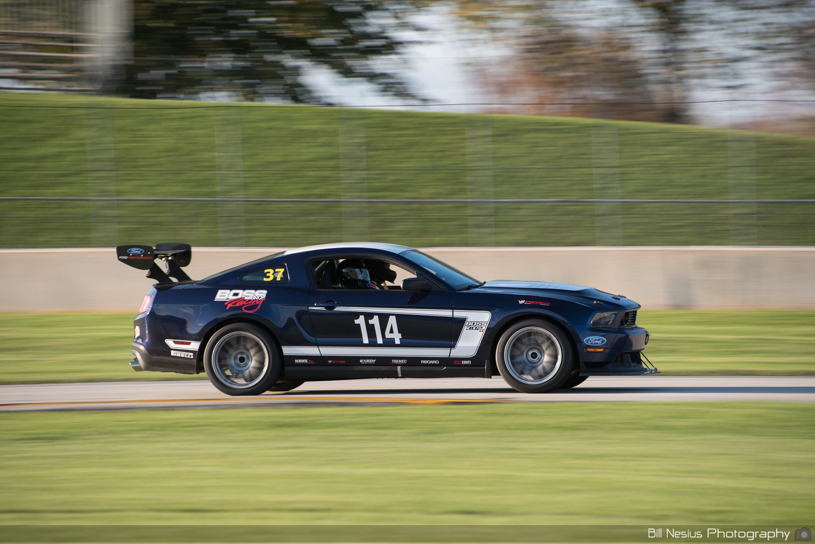 Ford Mustang Boss 302 Number 37 (114) ~ DSC_7619 ~ 4
