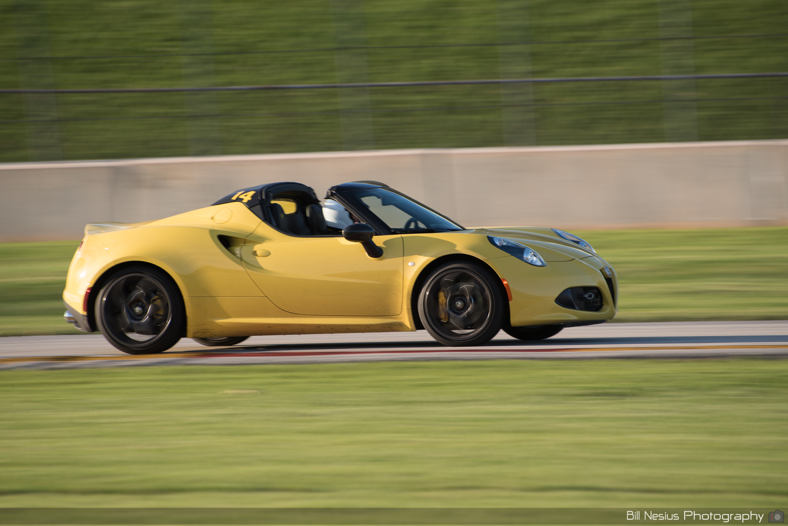 Alfa Romeo 4C Number 14
 ~ DSC_7681 ~ 3