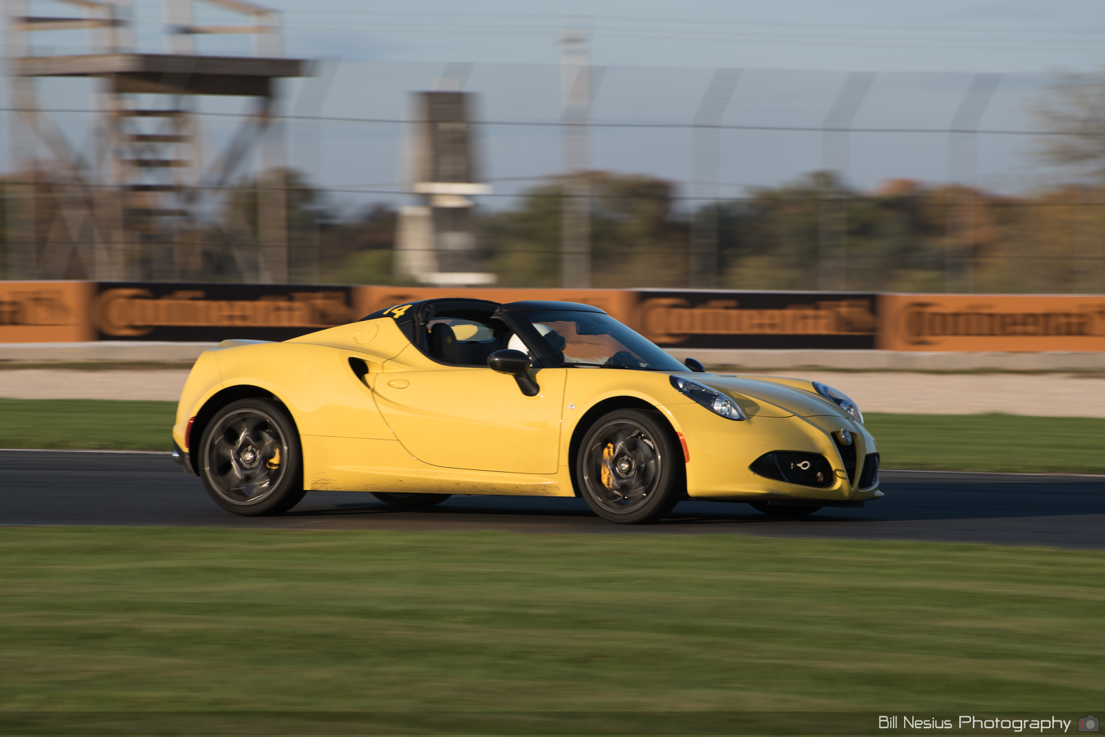 Alfa Romeo 4C Number 14
 ~ DSC_7791 ~ 3