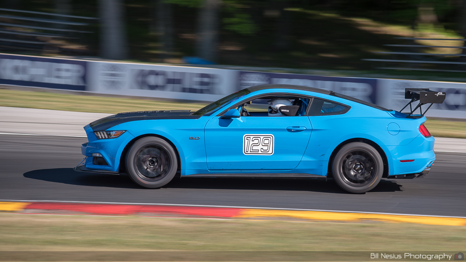 Ford Mustang Number 129 ~ DSC_3113 ~ 3