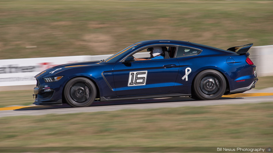 Ford Mustang GT350 Number 16 ~ DSC_3238 ~ 3