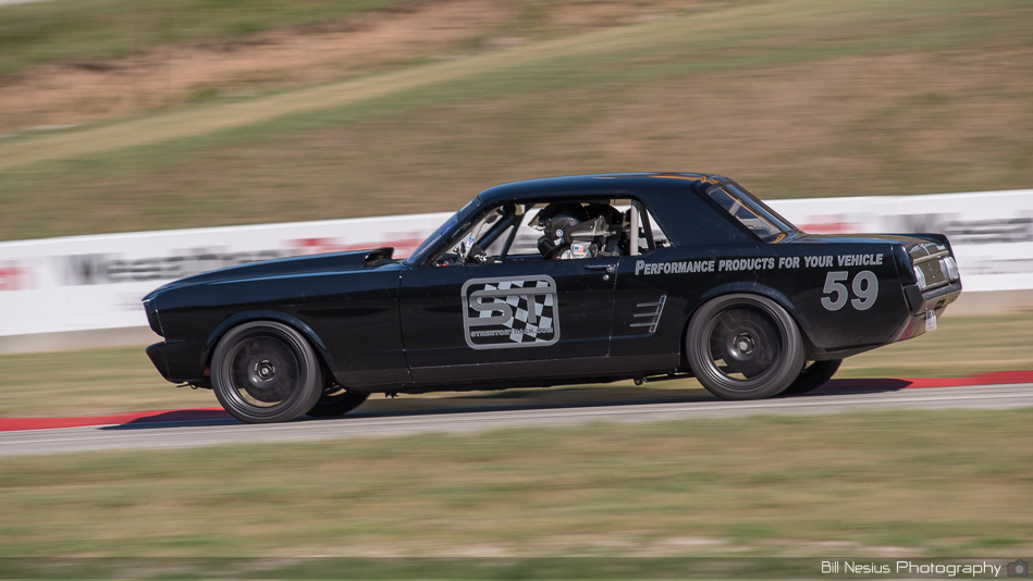 Ford Mustang  Number 59 ~ DSC_3245 ~ 4