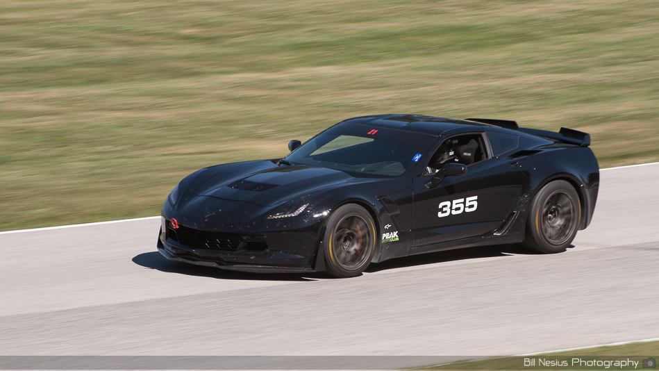 Chevy Corvette Number 355 ~ DSC_4029 ~ 4