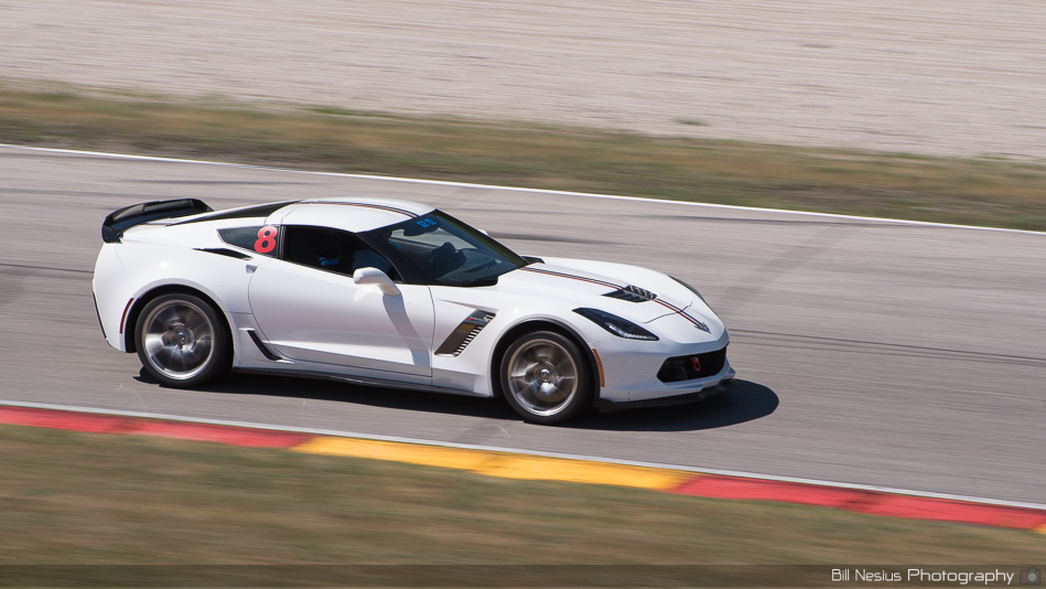 Chevy Corvette Number 8 ~ DSC_4099 ~ 3