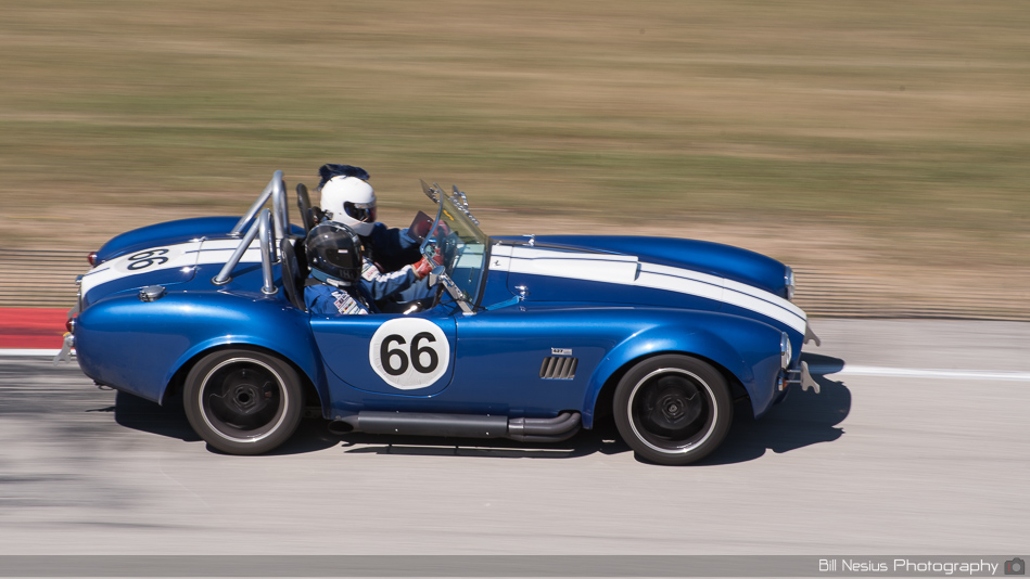 Ford Shrlby Cobra 427 Number 66 ~ DSC_4302 ~ 3