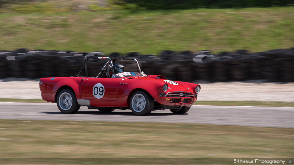 Sunbeam Tiger Number 09 ~ DSC_5326 ~ 3
