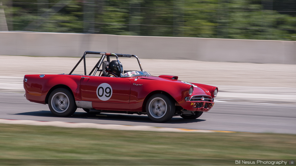 Sunbeam Tiger Number 09 ~ DSC_5364 ~ 4