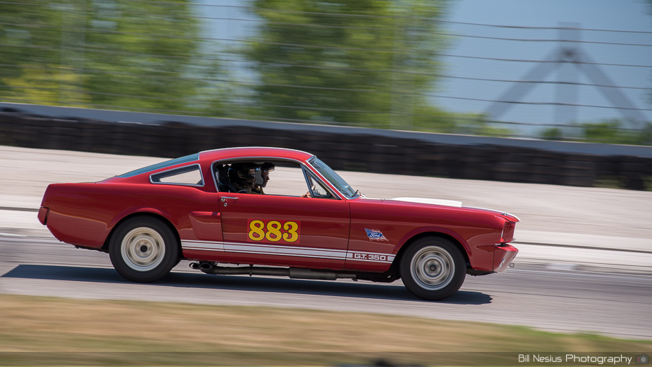 Ford Mustang  Number 883 ~ DSC_5595 ~ 4