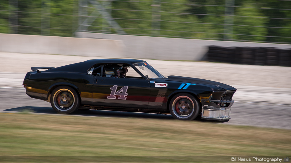 Ford Mustang Boss 302 Number 14  ~ DSC_5883 ~ 4