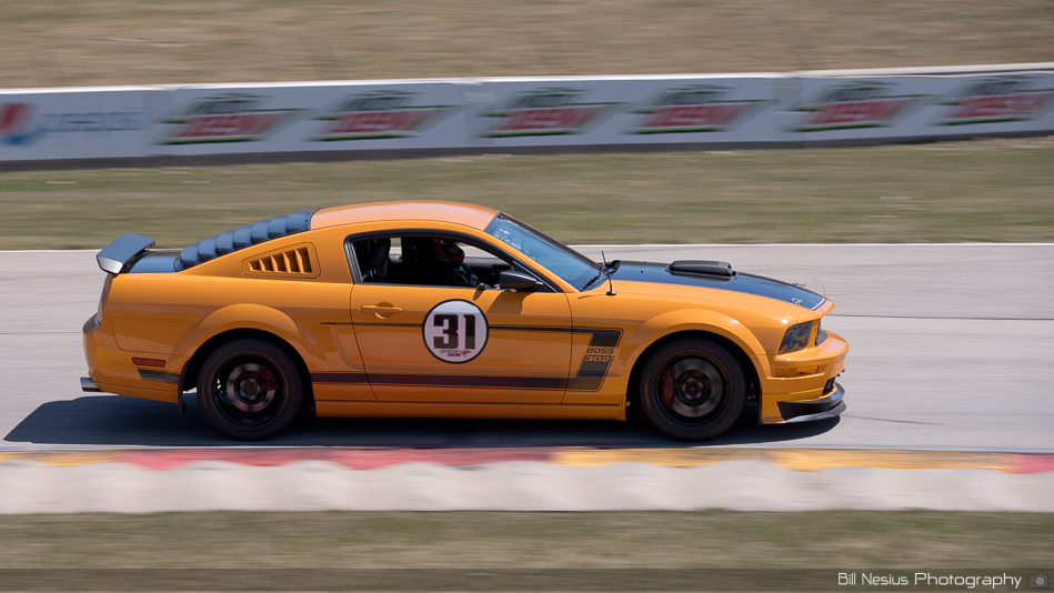 Ford Boss 302 Mustang Number 31 ~ DSC_3565 ~ 3