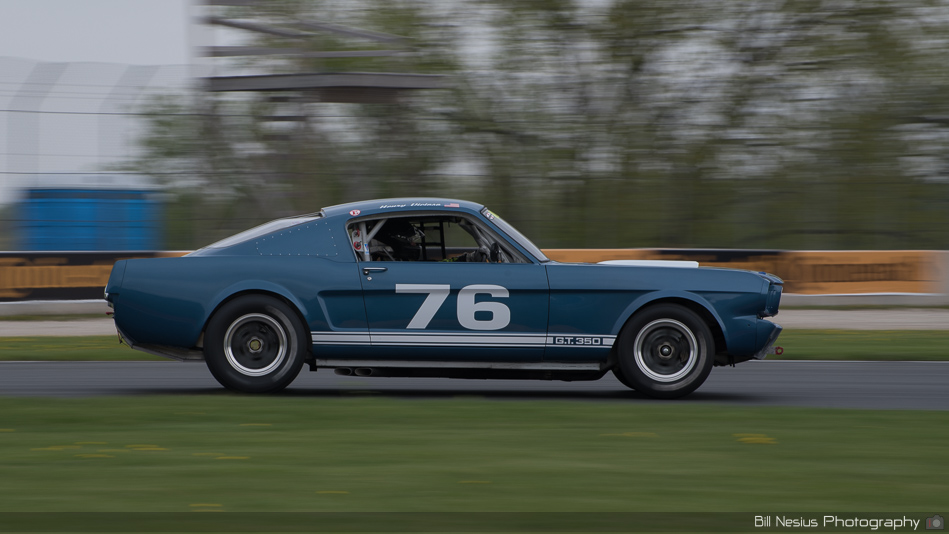 1965 Ford Mustang Shelby GT350  Number 76 ~ DSC_0692 ~ 3
