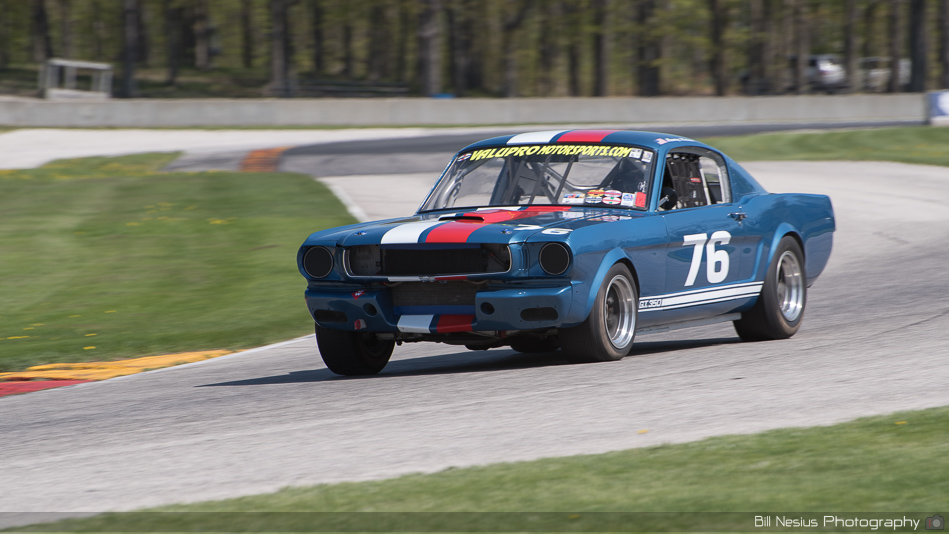1965 Ford Mustang Shelby GT350 Number 76  ~ DSC_6190 ~ 3