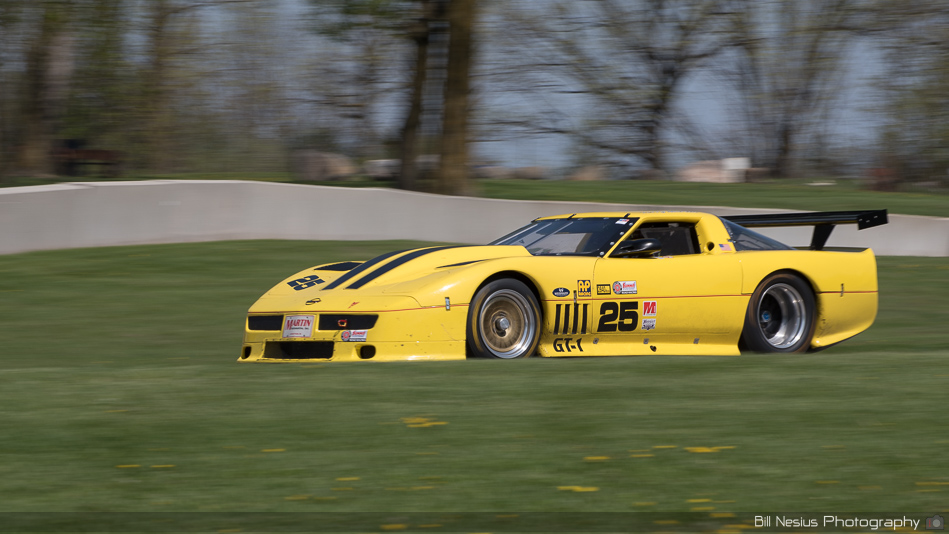 Chevy Corvette Number 25 ~ DSC_6616 ~ 4