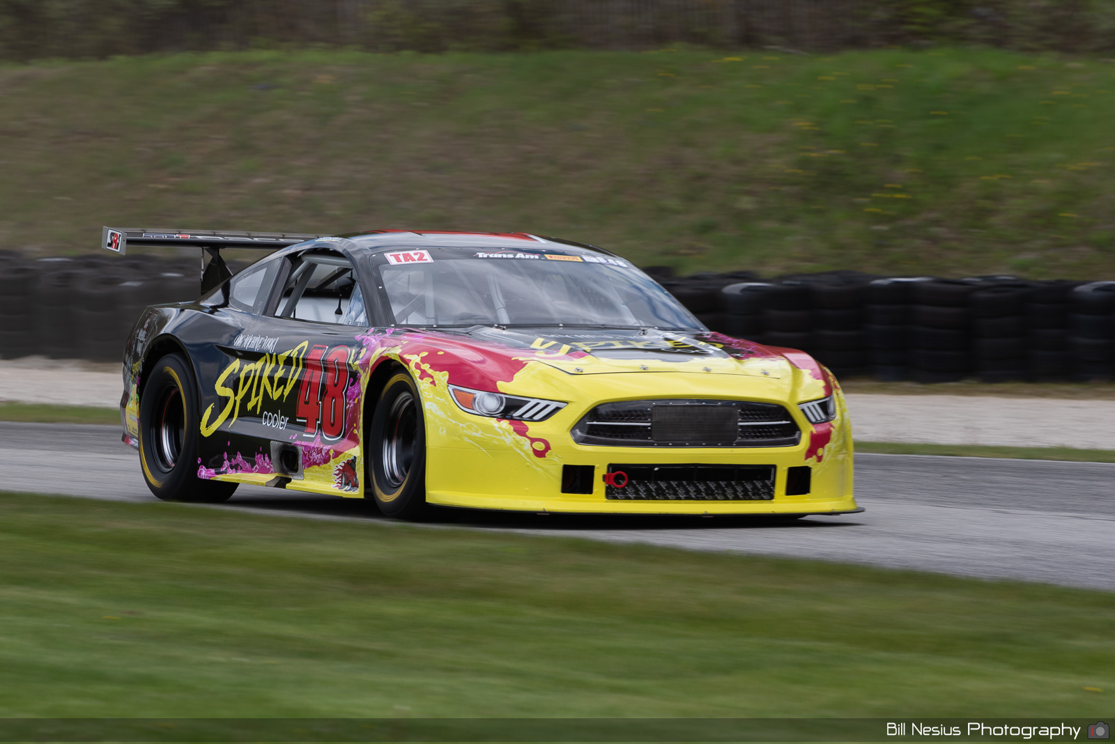 Ford Mustang Number 48 / BAN_0831 / 3