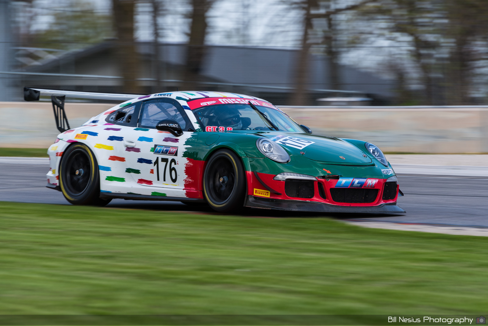 2014 Porsche 991 Number 176 / BAN_1288 / 3