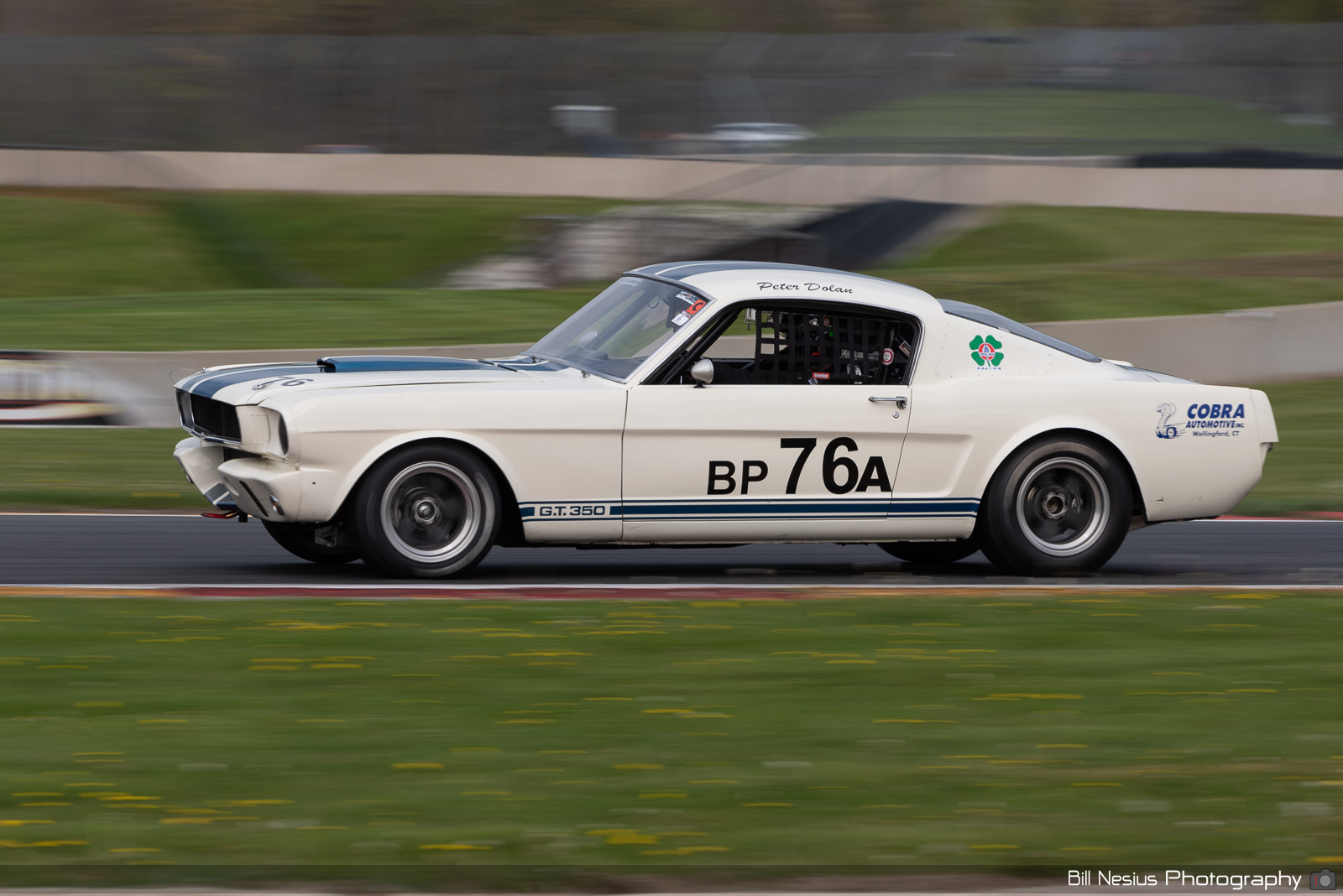 Ford Mustang Shelby GT350 Number 76A / BAN_1384 / 4
