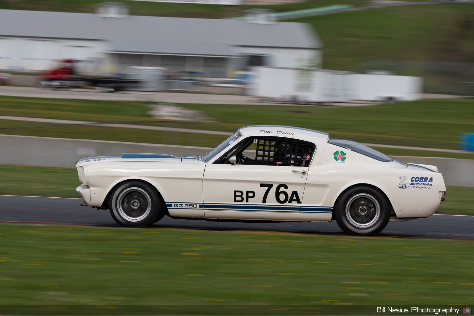 Ford Mustang Shelby GT350 Number 76A / BAN_1386 / 4