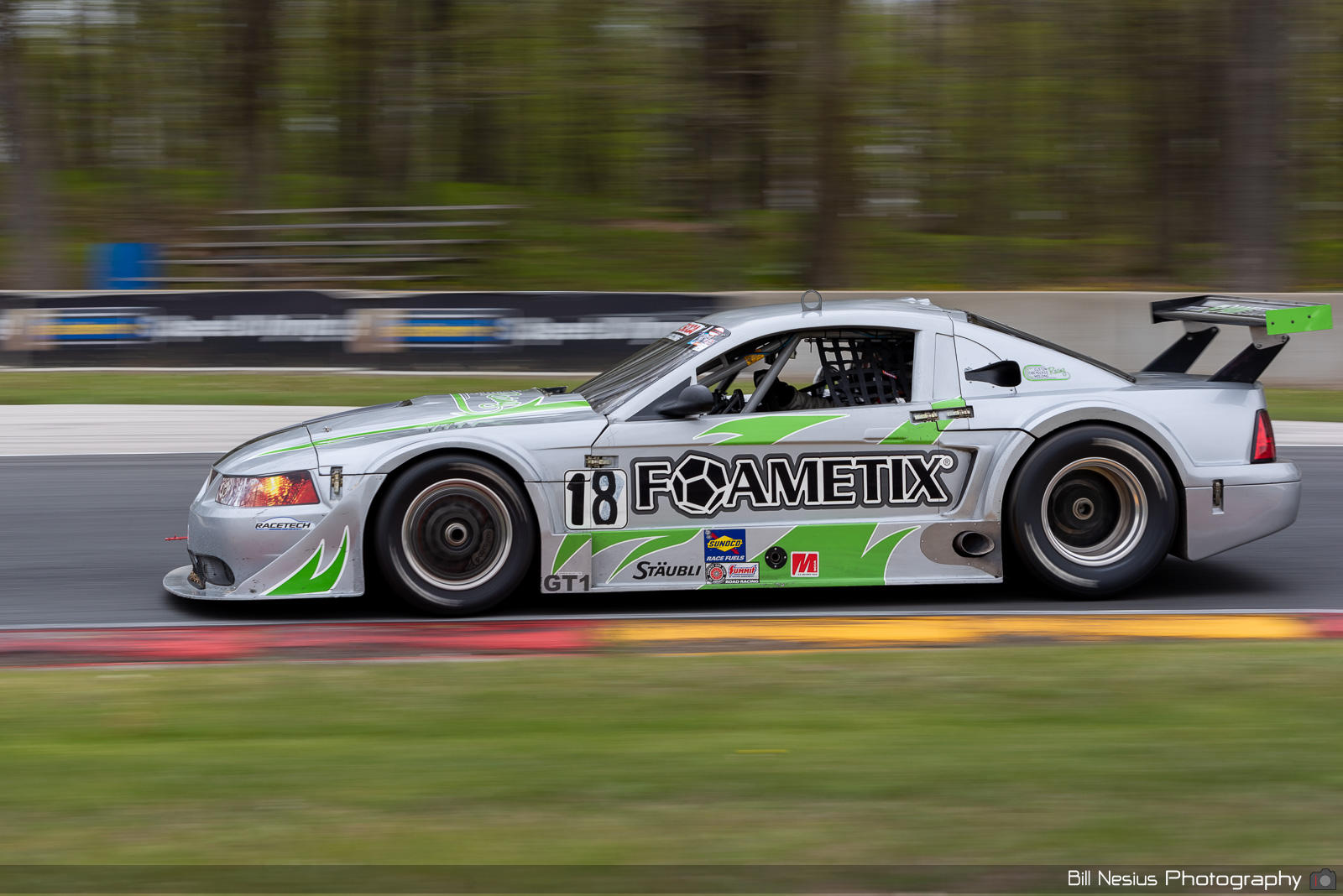 2002 Ford Mustang Number 18 / BAN_1943 / 3