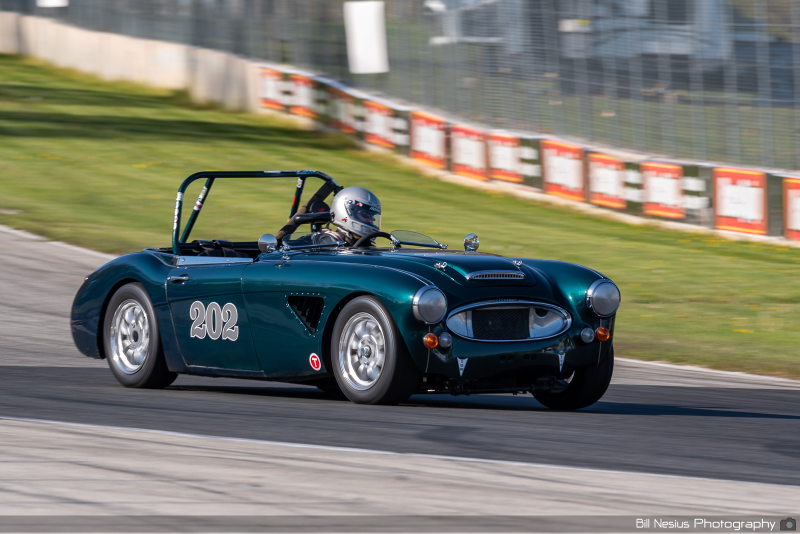 1966 Austin Healey 3000 Number 202 / DSC_1923 / 3