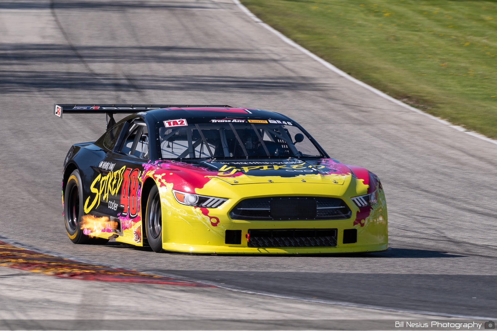 Ford Mustang Number 48 / DSC_2743 / 3