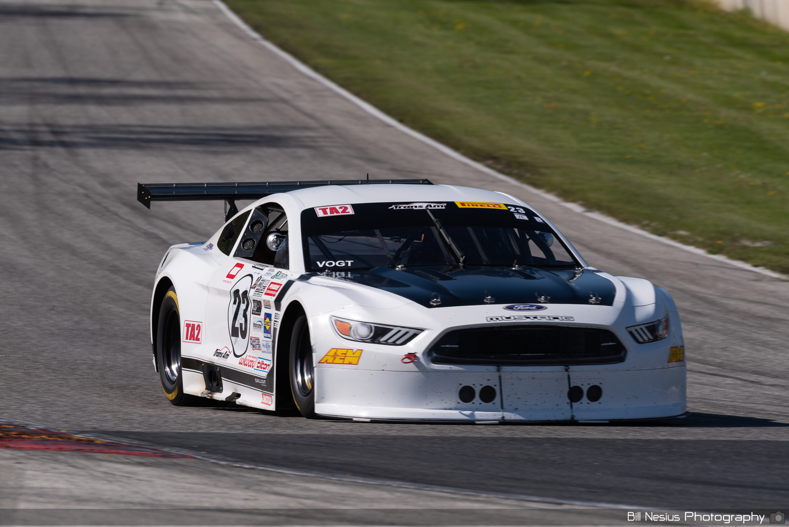 2016 Ford Mustang Number 23 / DSC_2877 / 