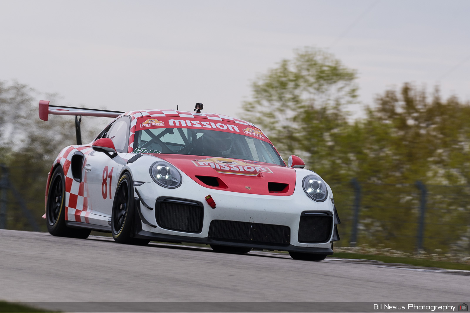 2019 Porsche GT3 Number 81 / DSC_6128 / 3