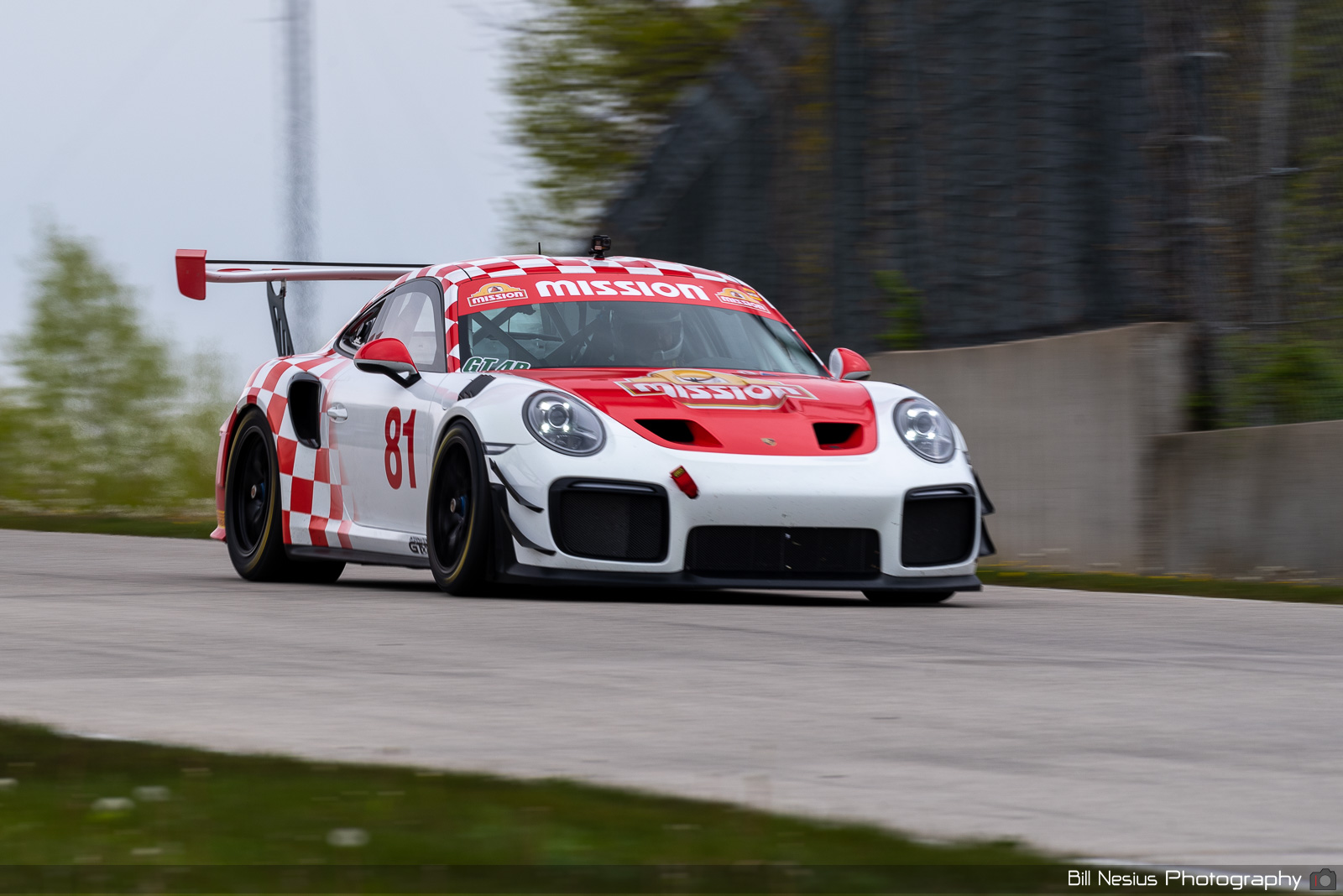 2019 Porsche GT3 Number 81 / DSC_6257 / 