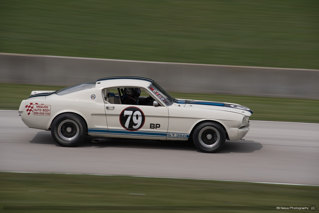 1965 Shelby GT350 #79 between turn 3-4 ~ DSC_4056