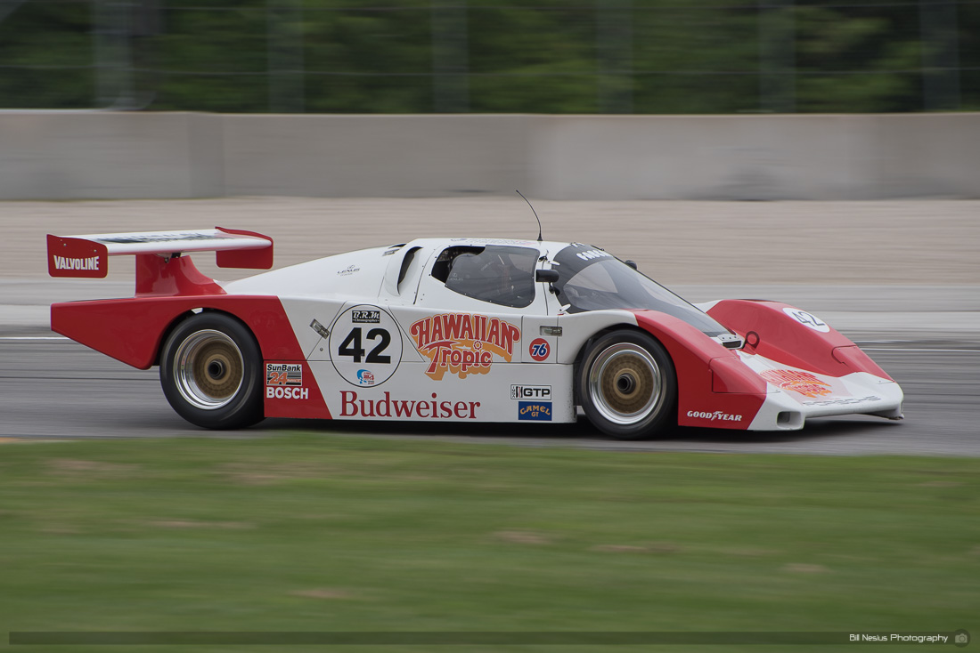 1985 Porsche/Fabcar #42 in turn 1 ~ DSC_4703
