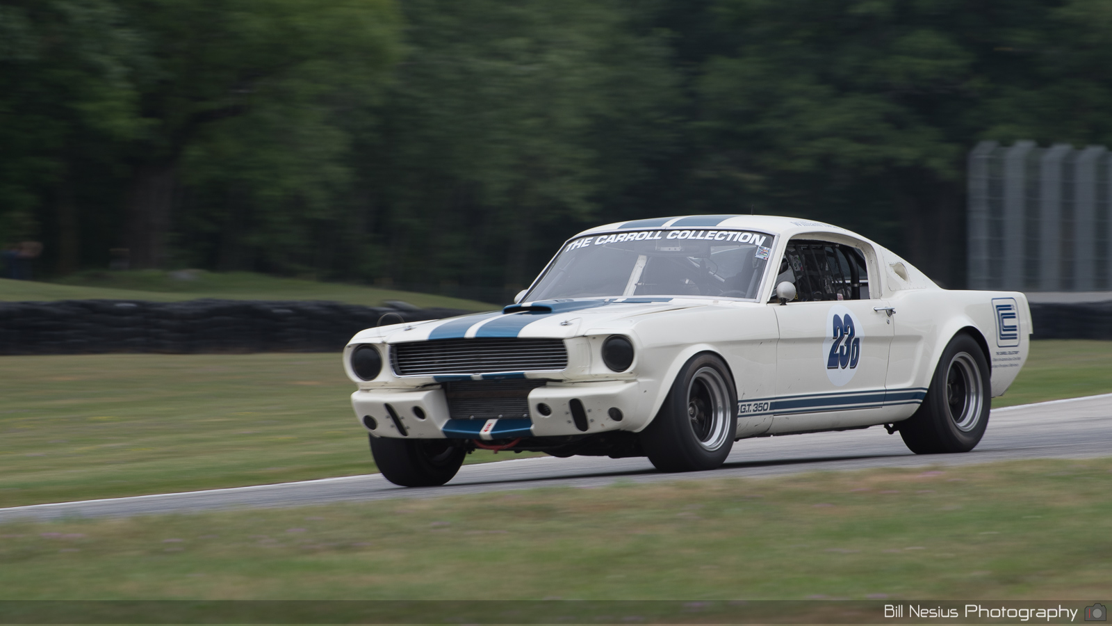 1966 Shelby GT350 Number 23 ~ DSC_2776 ~ 4