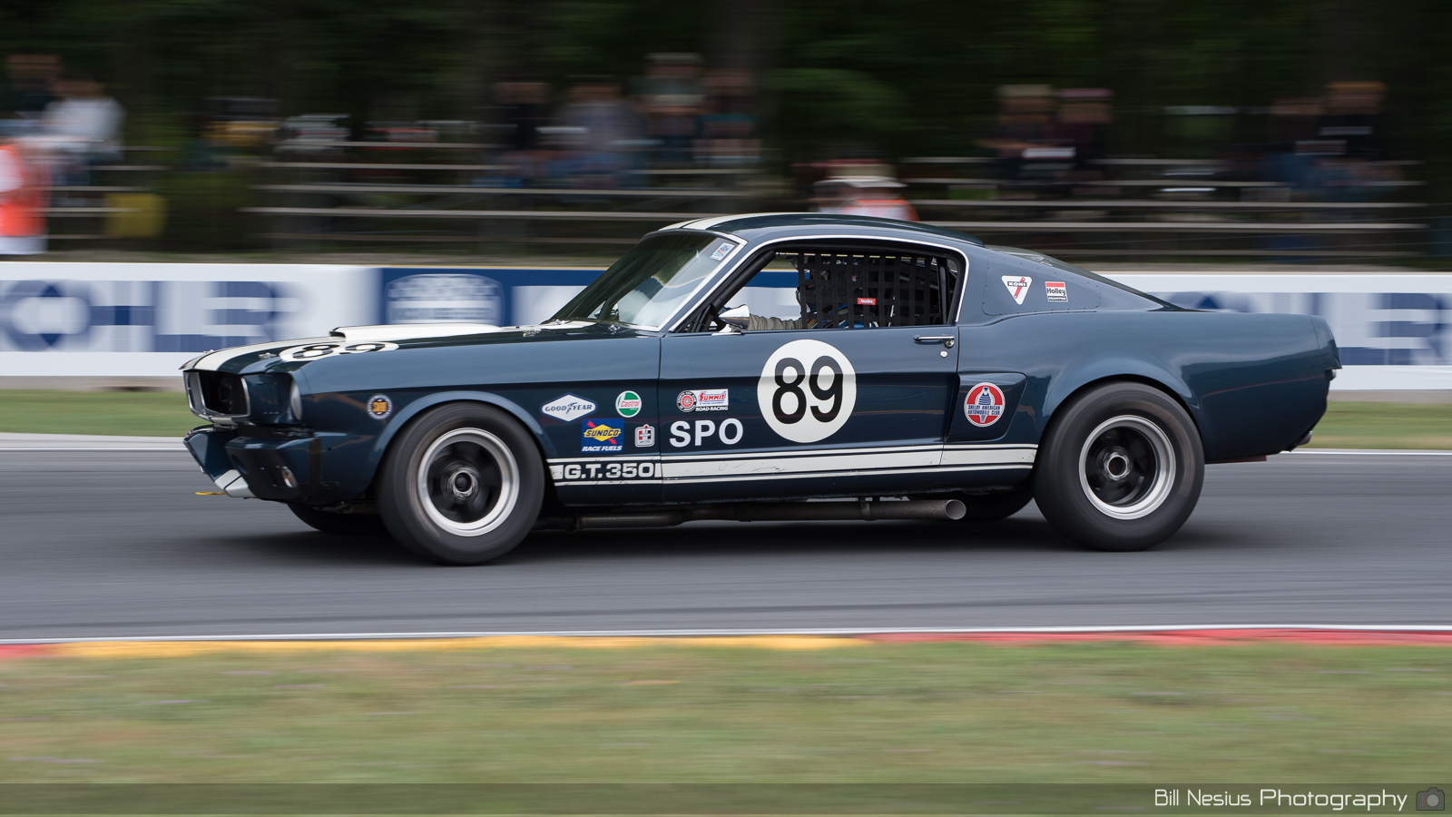 Ford Mustang Shelby GT350 Number 89 ~ DSC_3216 ~ 4