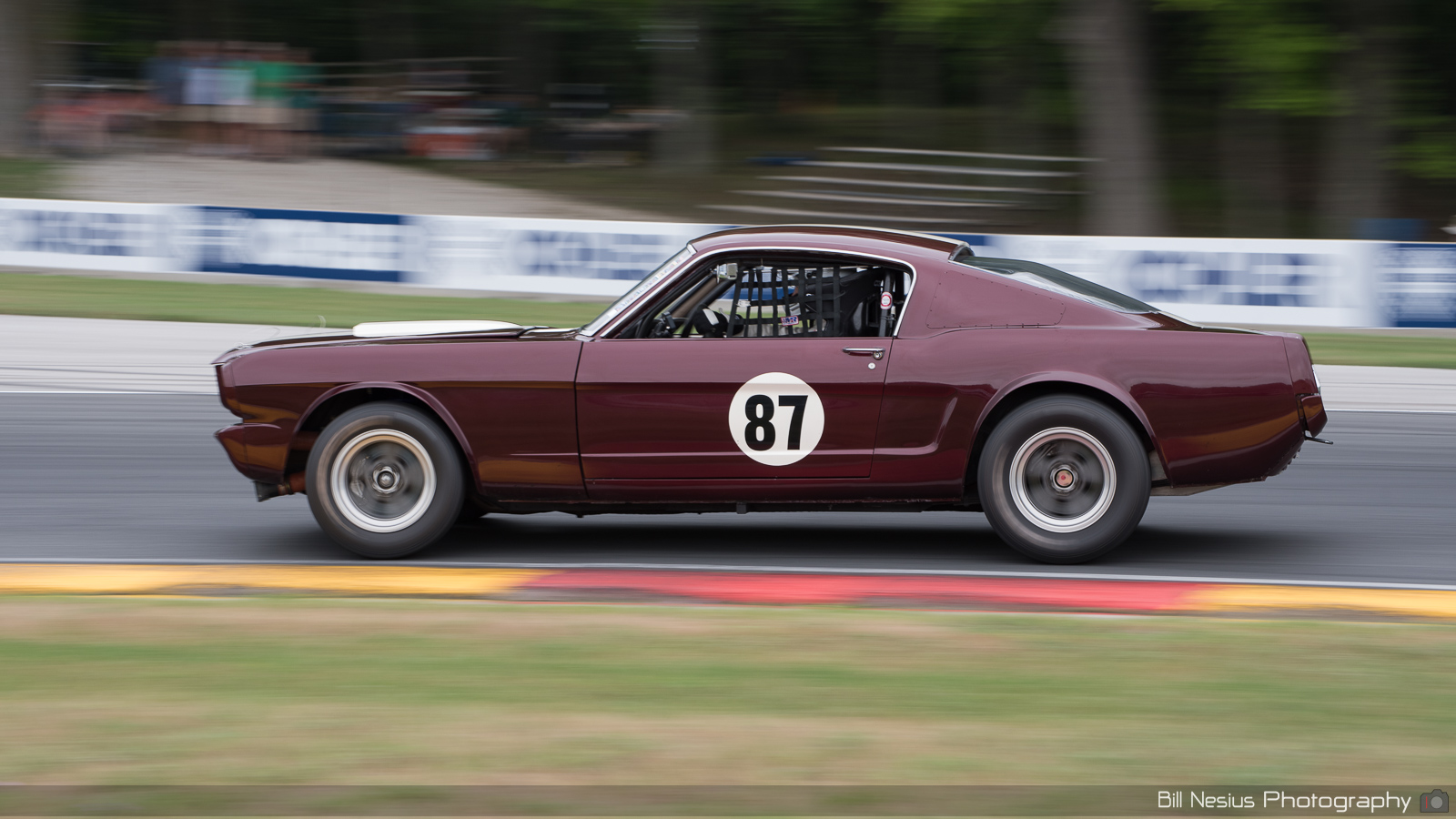 Ford Mustang Shelby GT350 Number 87 ~ DSC_3326 ~ 4