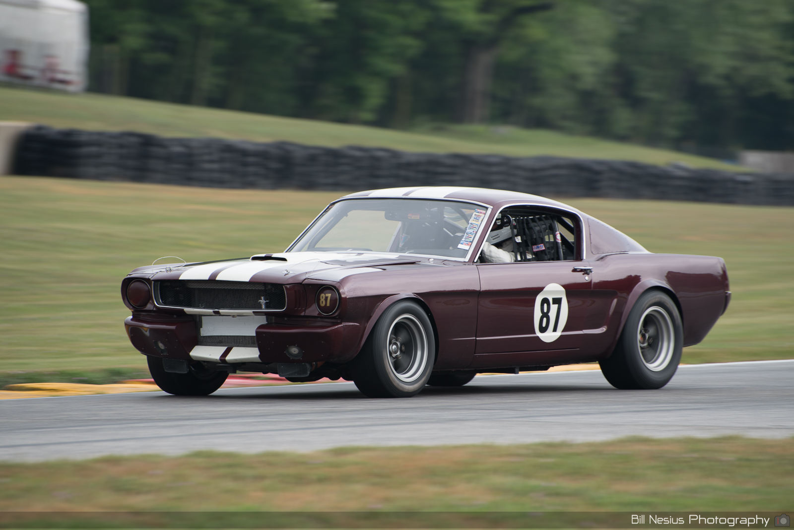 Ford Mustang Shelby GT350 Number 87 ~ DSC_6244 ~ 3