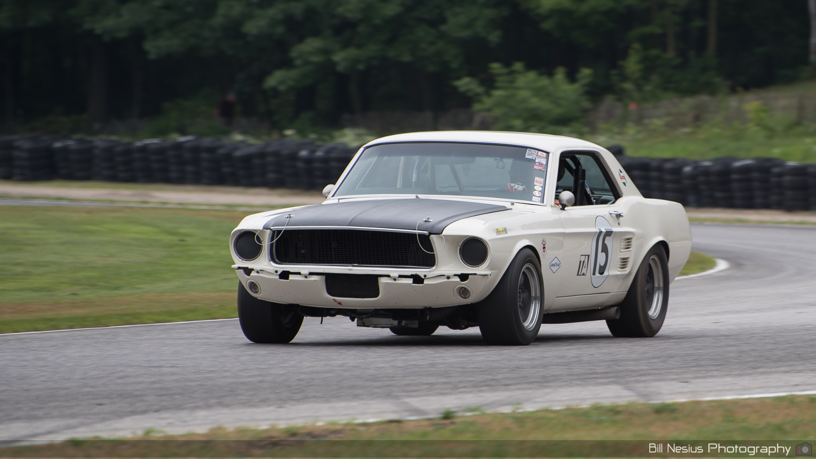 1967 Ford Mustang Number 15 ~ DSC_6901 ~ 4