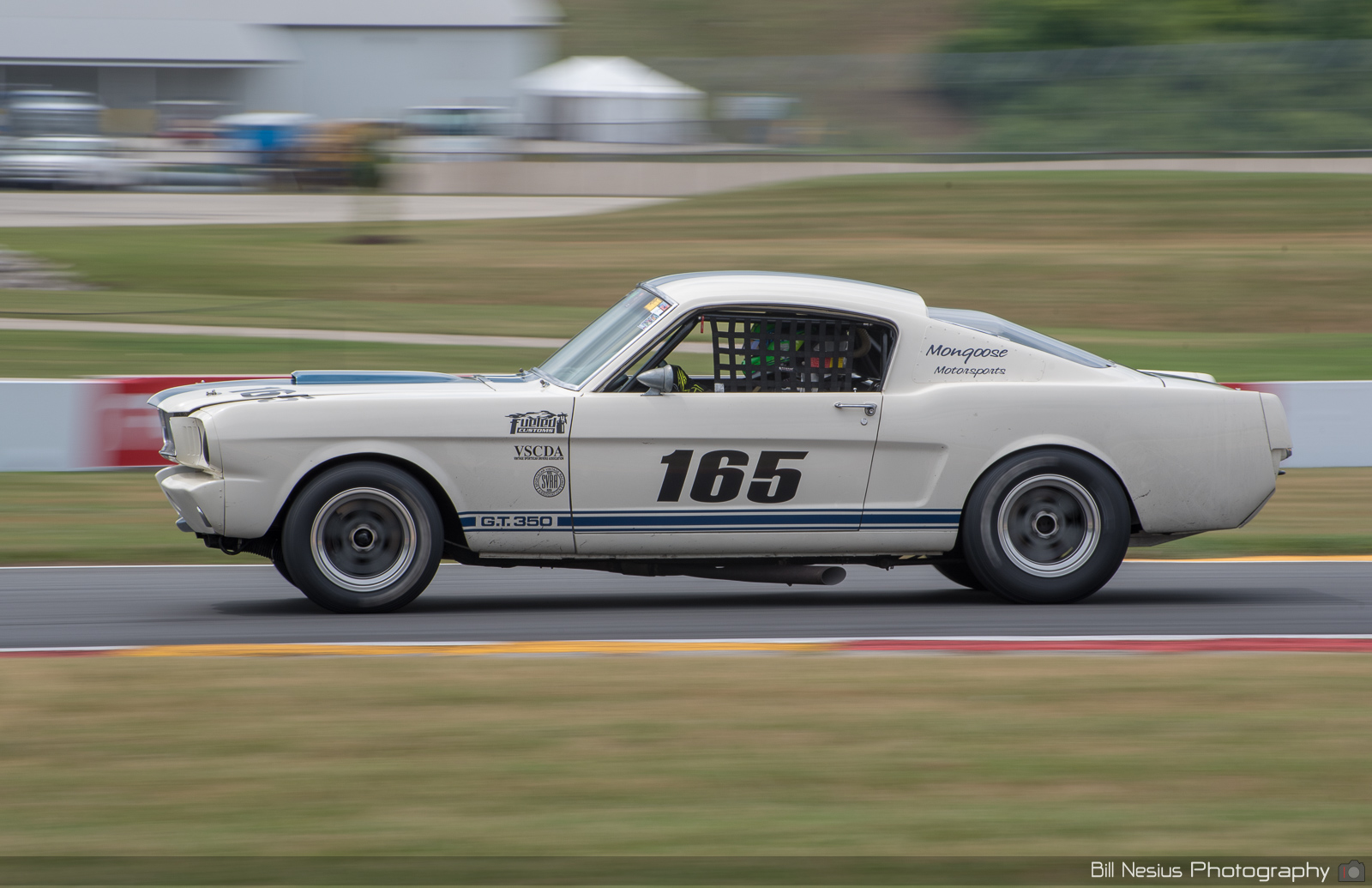 1965 Ford Mustang Shelby GT350 Number 165 ~ DSC_8769 ~ 4