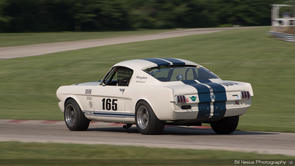1965 Ford Mustang Shelby GT350 Number 165 ~ DSC_0951 ~ 3
