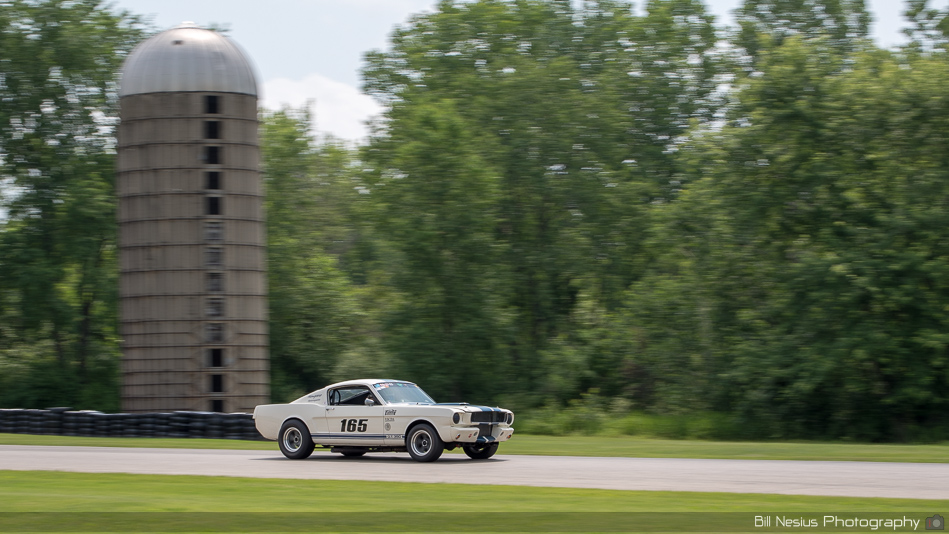 1965 Ford Mustang Shelby GT350 Number 165 VSCDA Blackhawk Vintage Classic XXVI 2018 ~ DSC_1682 ~ 4