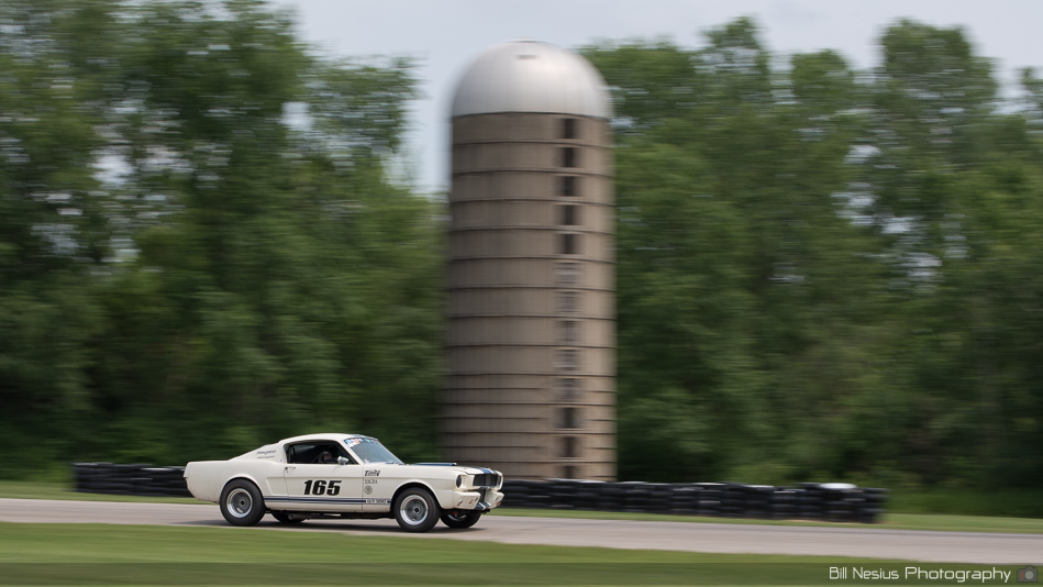1965 Ford Mustang Shelby GT350 Number 165 ~ DSC_2724 ~ 4
