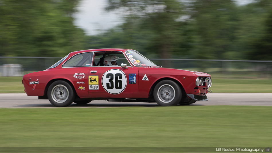 Alfa Romeo GTV Number 36 ~ DSC_2855 ~ 4