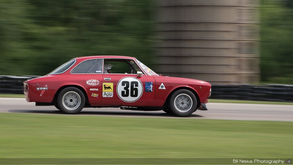 Alfa Romeo GTV Number 36 ~ DSC_2980 ~ 4